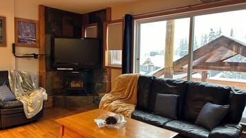 Smart TV, fireplace, DVD player, books