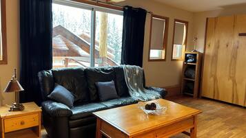 Smart TV, fireplace, DVD player, books