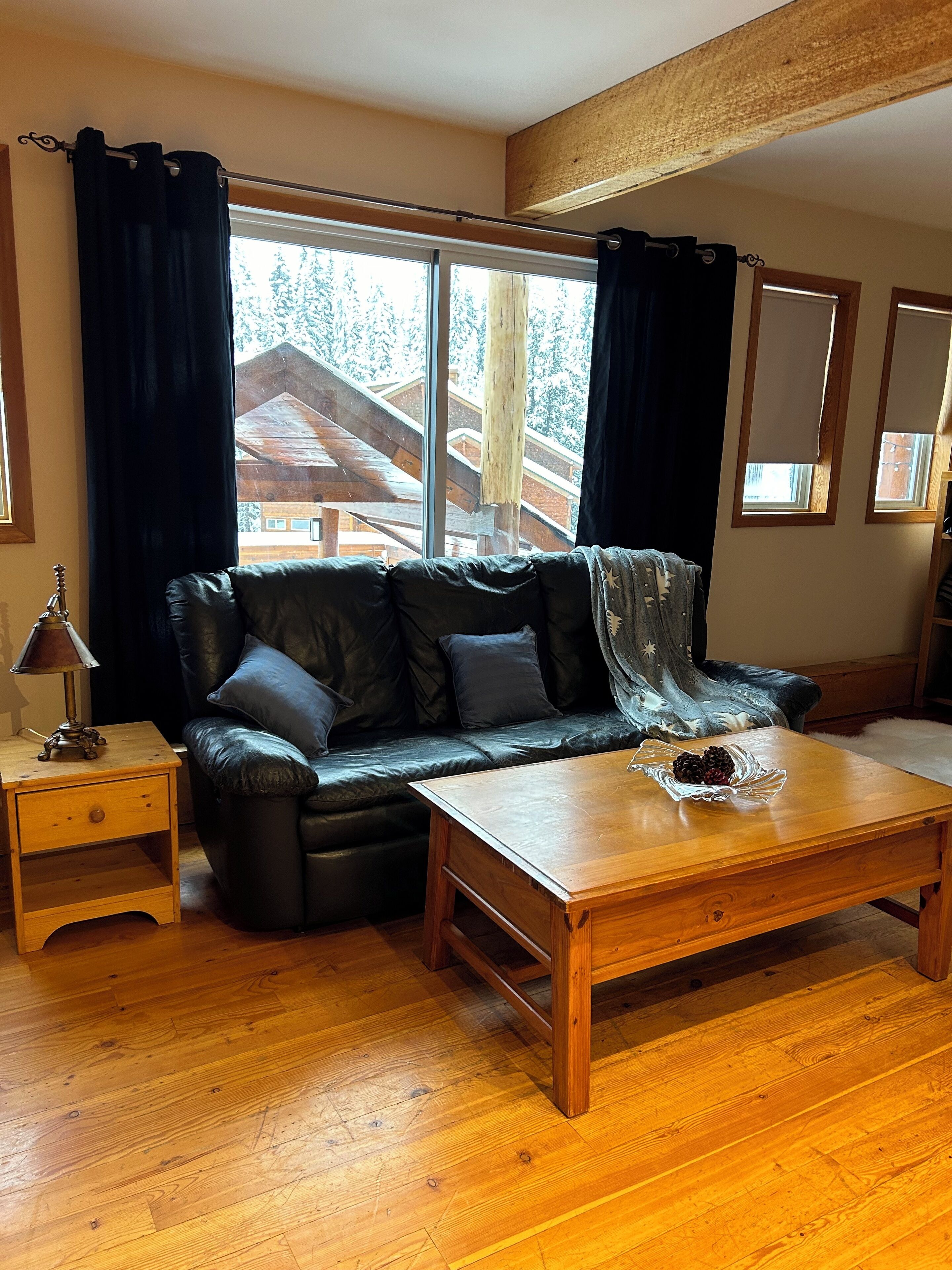 TV connectée, cheminée, lecteur de DVD, livres