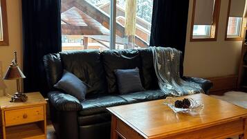 TV connectée, cheminée, lecteur de DVD, livres