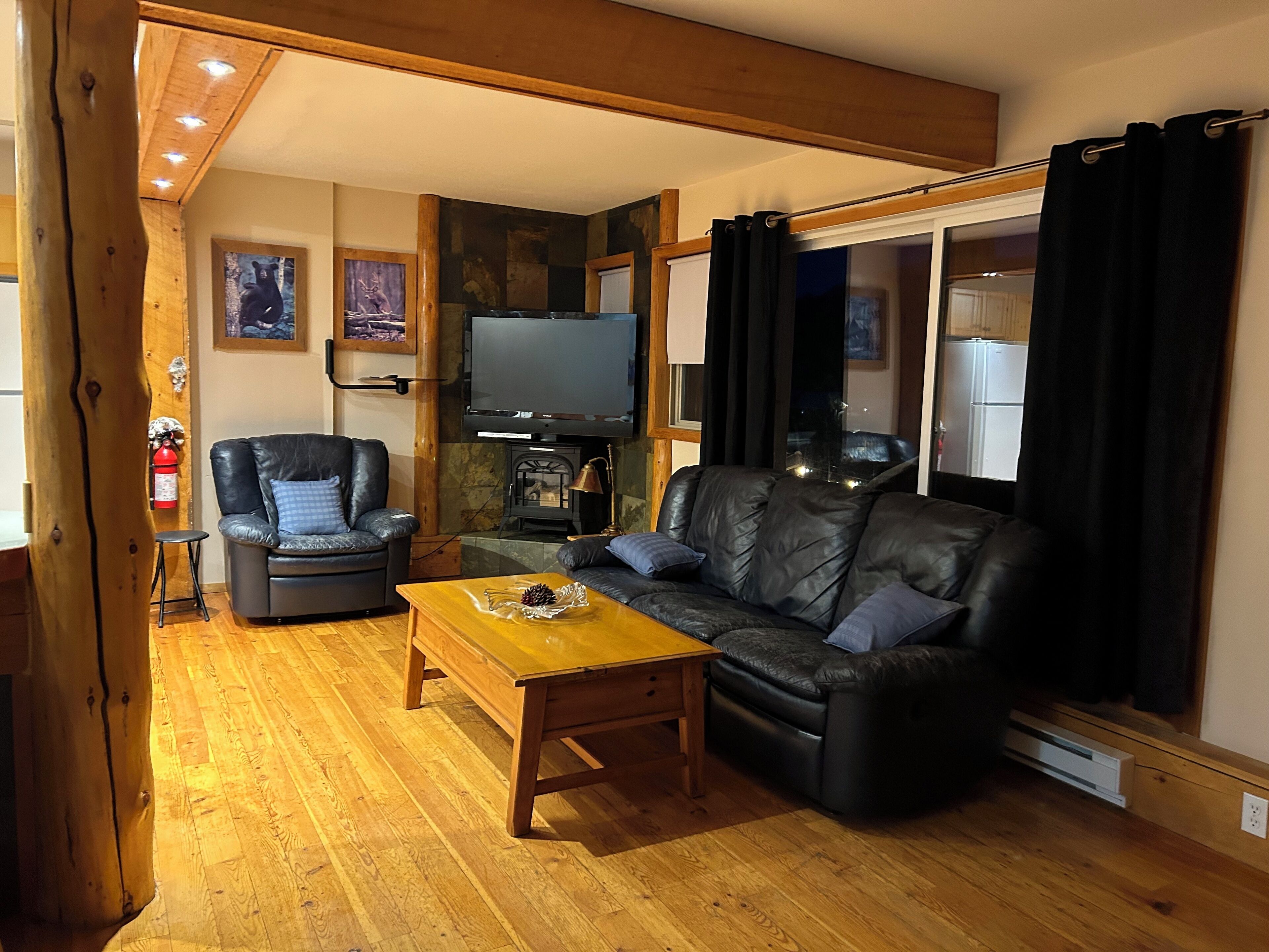 TV connectée, cheminée, lecteur de DVD, livres