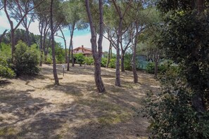 A residential area with a house, trees, and a fenced yard. - Villa Dei Pini, Porto Azzurro (Porto Azzurro)