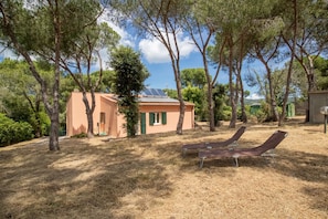 Un petit bâtiment doté d’un toit recouvert de panneaux solaires, entouré d’arbres et d’herbes sèches.