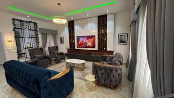 TV connectée, cheminée, lecteur de DVD, livres