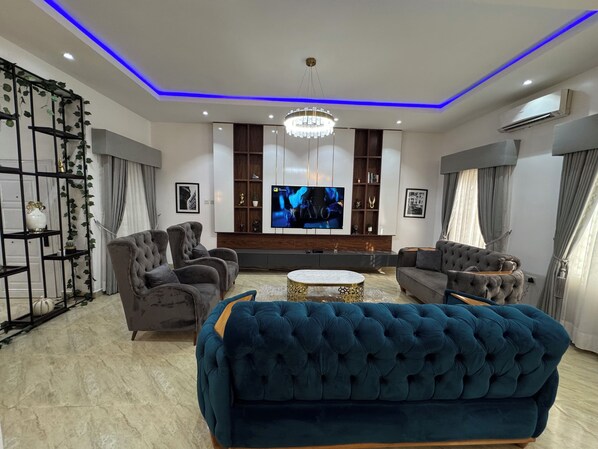 TV connectée, cheminée, lecteur de DVD, livres