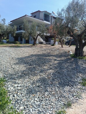 Área da propriedade