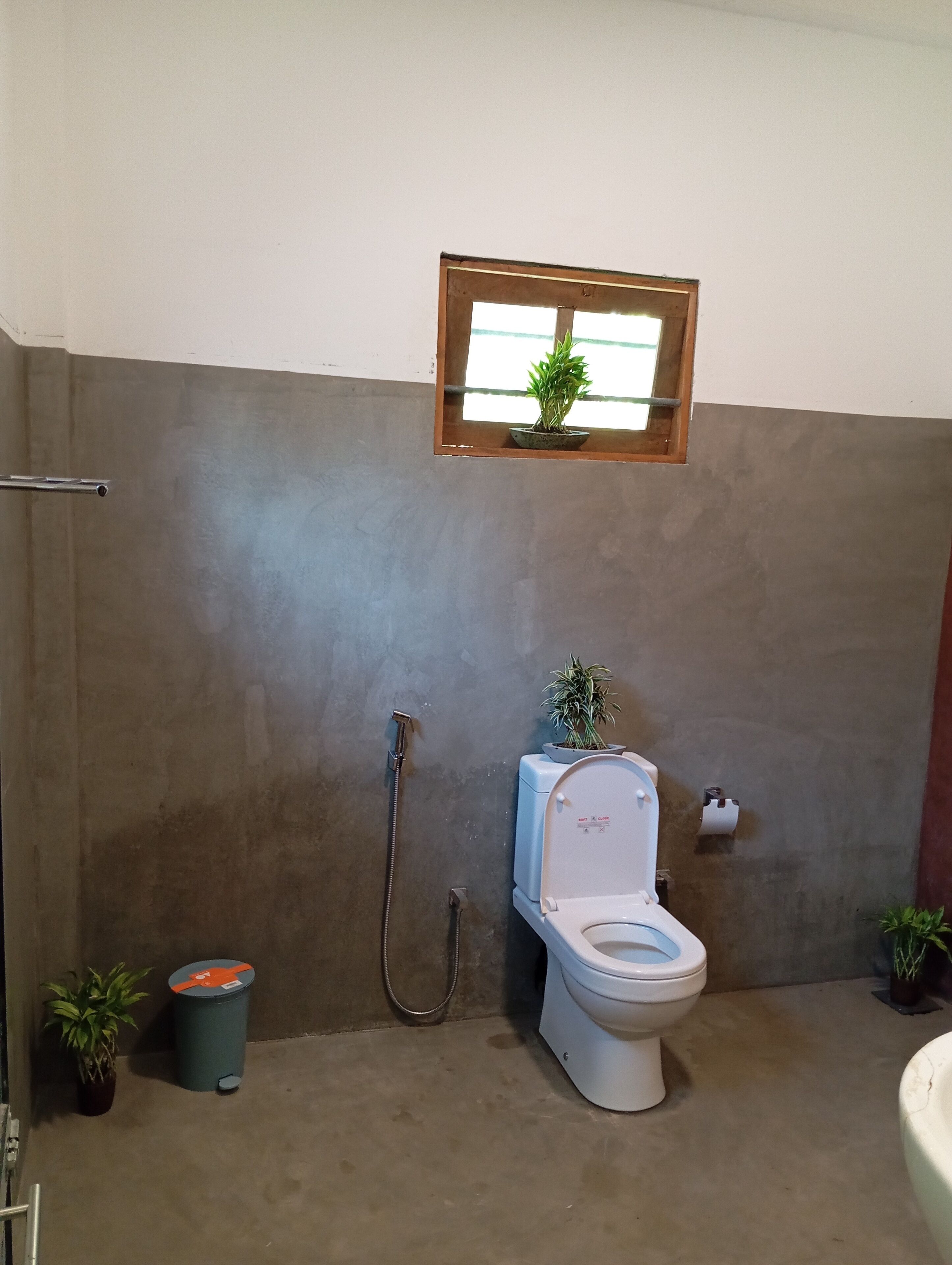 Un baño con inodoro, ducha y una ventana pequeña con una planta.