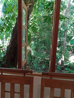 A wooden structure with a glass door, surrounded by dense green foliage and trees.