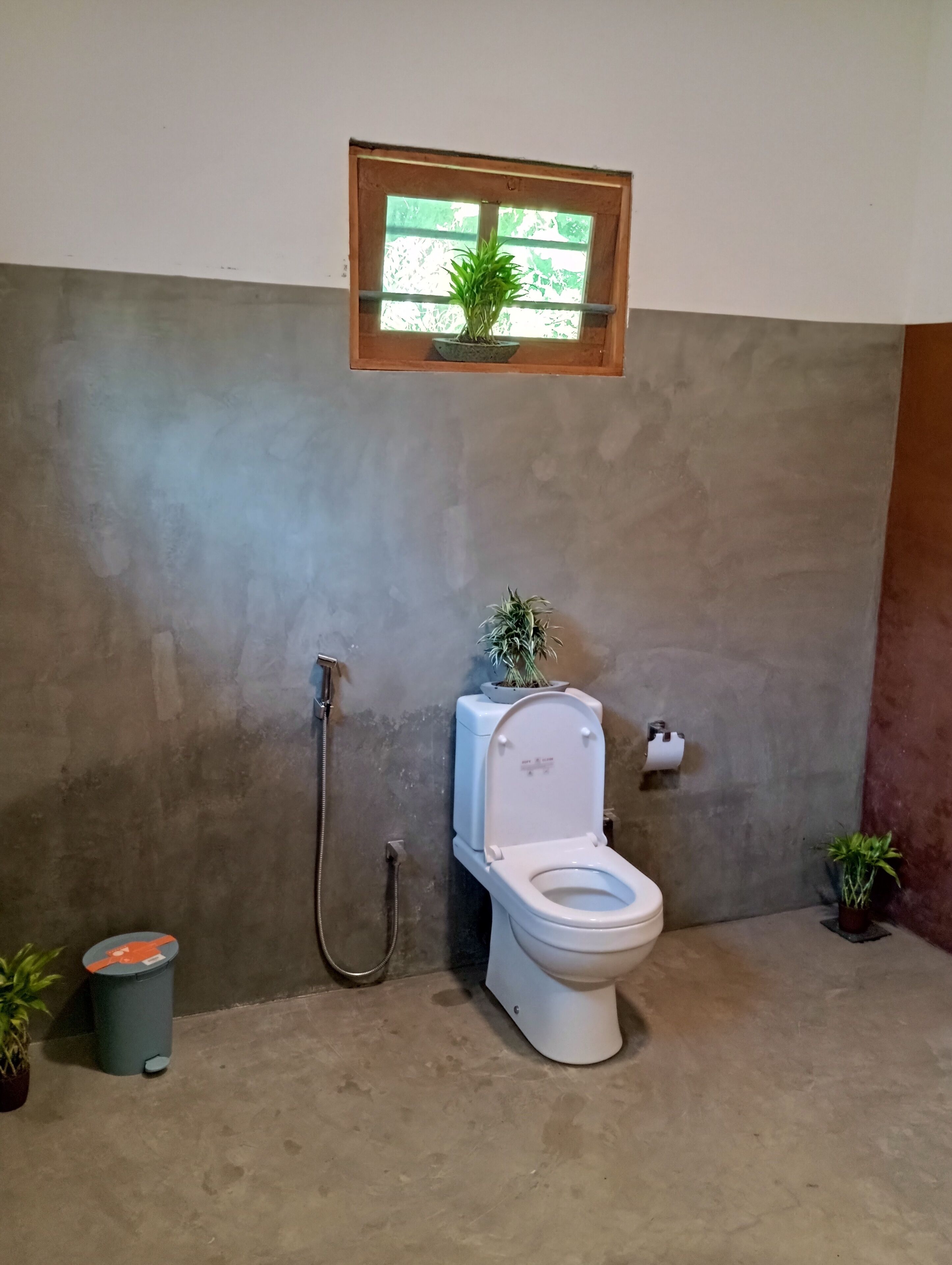 Un bagno con il water, una doccia e un piccolo oblò con una pianta.