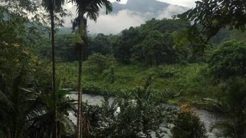 A lush landscape with a river, palm trees, and a mountain in the background.
