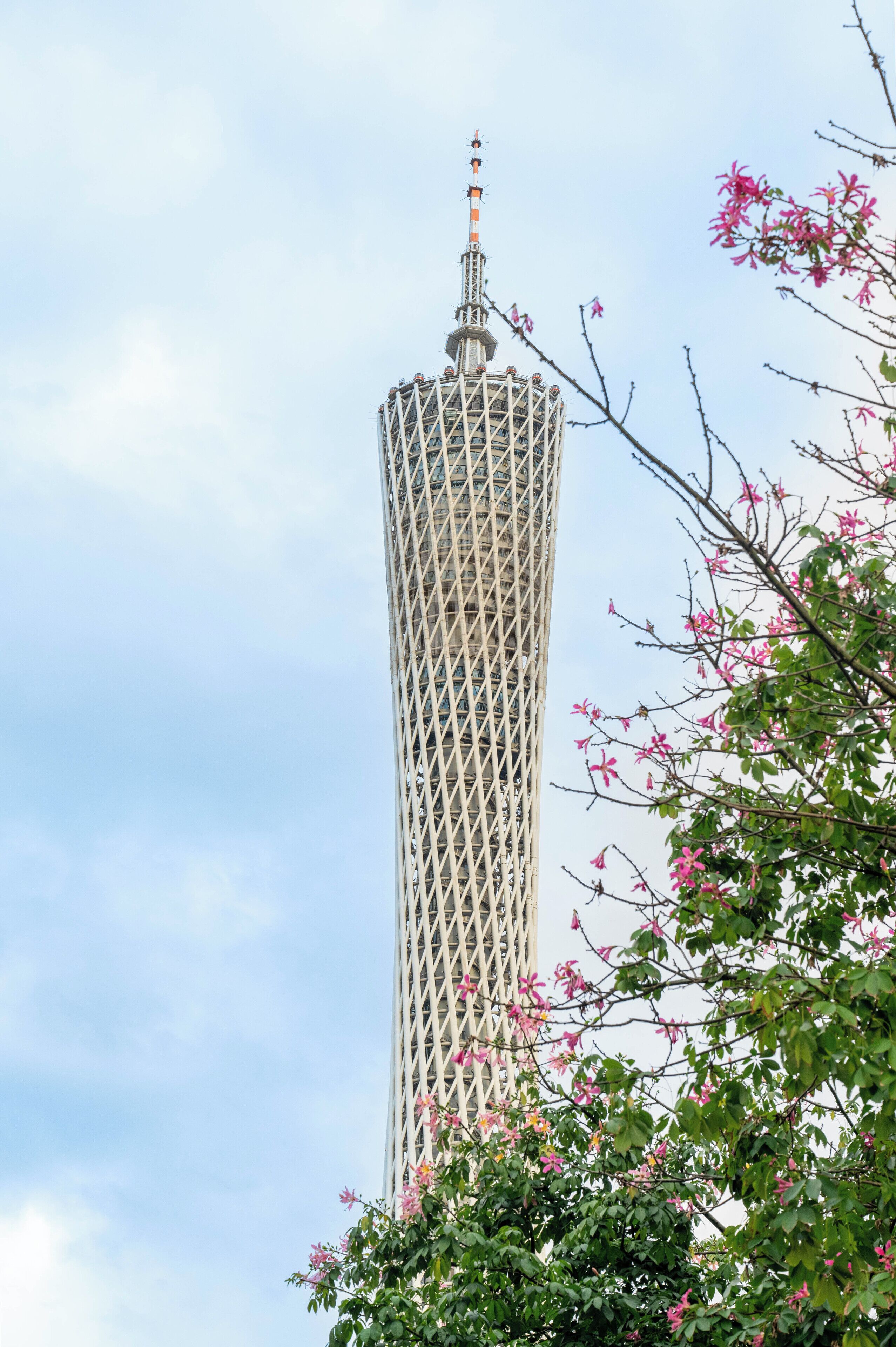 Une haute tour à la structure ajourée, surmontée d’une flèche, et entourée d’arbres en fleurs.