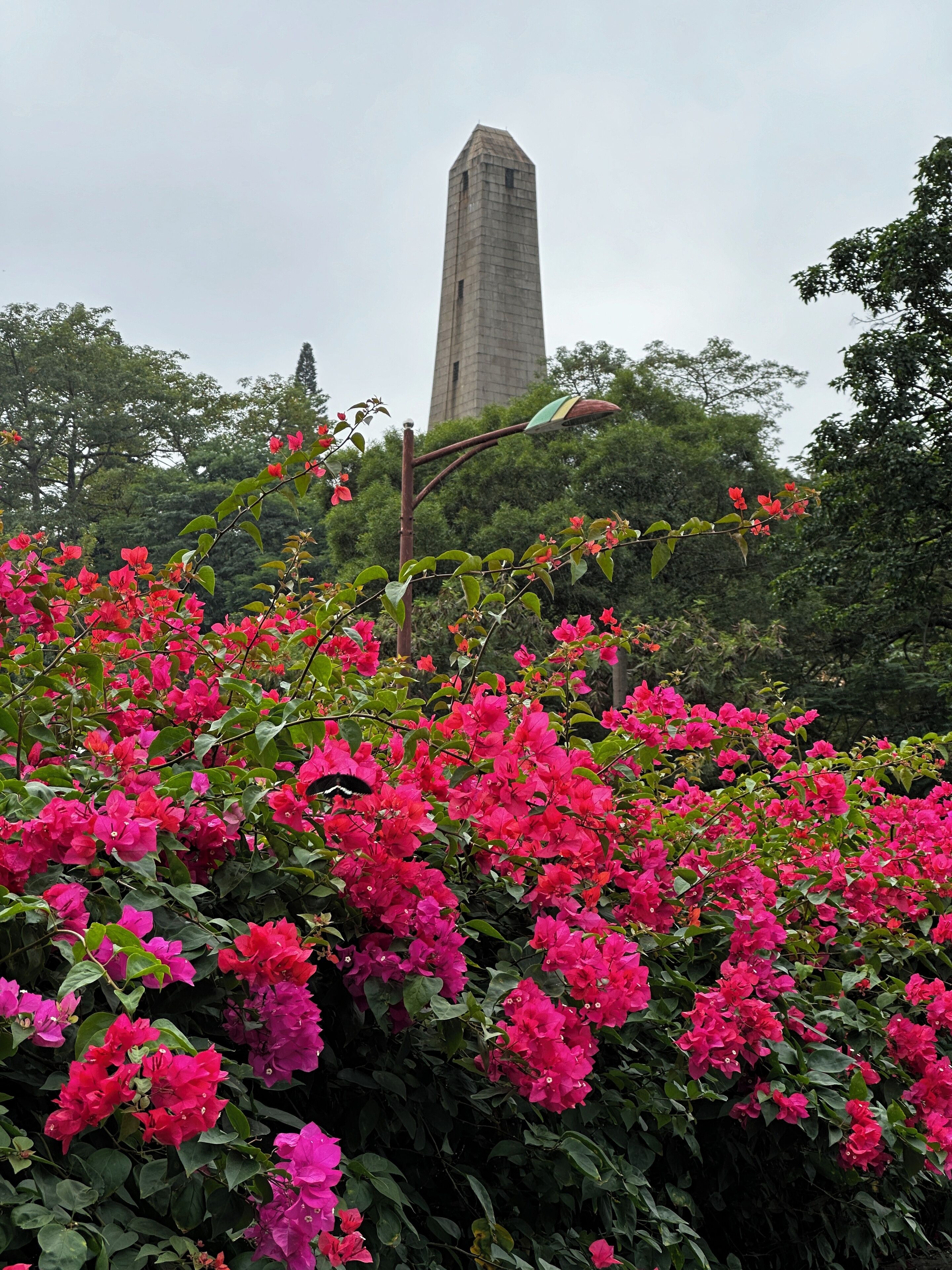 Un monumento alto rodeado de vegetación exuberante y flores rosadas vibrantes.
