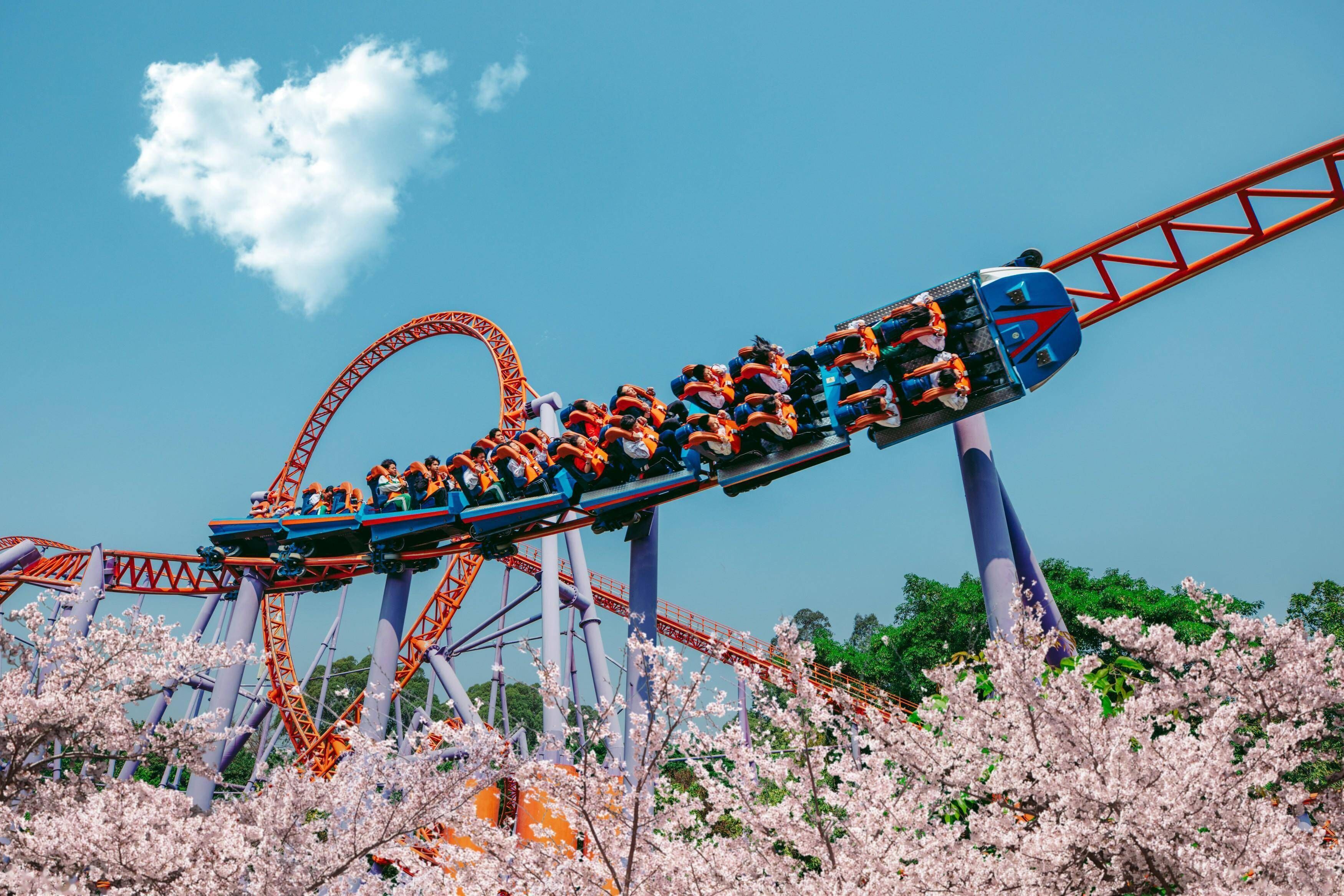 Des montagnes russes avec des passagers à bord, entourées d’arbres en fleurs de cerisier.