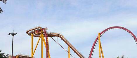 A roller coaster with a yellow and red track, surrounded by greenery and parked cars.