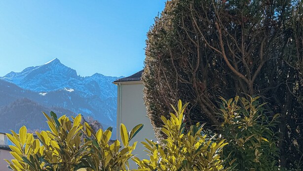 Eine Berglandschaft mit blauem Himmel, einem großen Baum und einem Gebäude mit flachem Dach.
