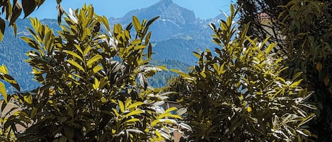 Àrea exterior de l'allotjament