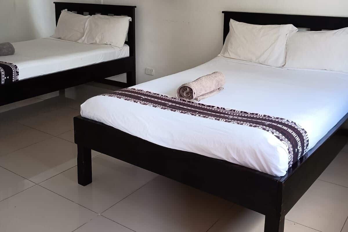 A hotel room with two beds, white linens, a small plant, and artwork on the walls.