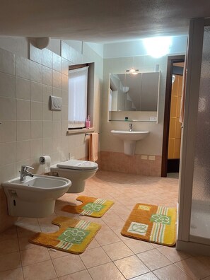 A bathroom with a sink, two basins, a toilet, and a mirror. - Villa Rondine is surrounded by nature, close to Garda, Verona and Valpolicella. (Verona)
