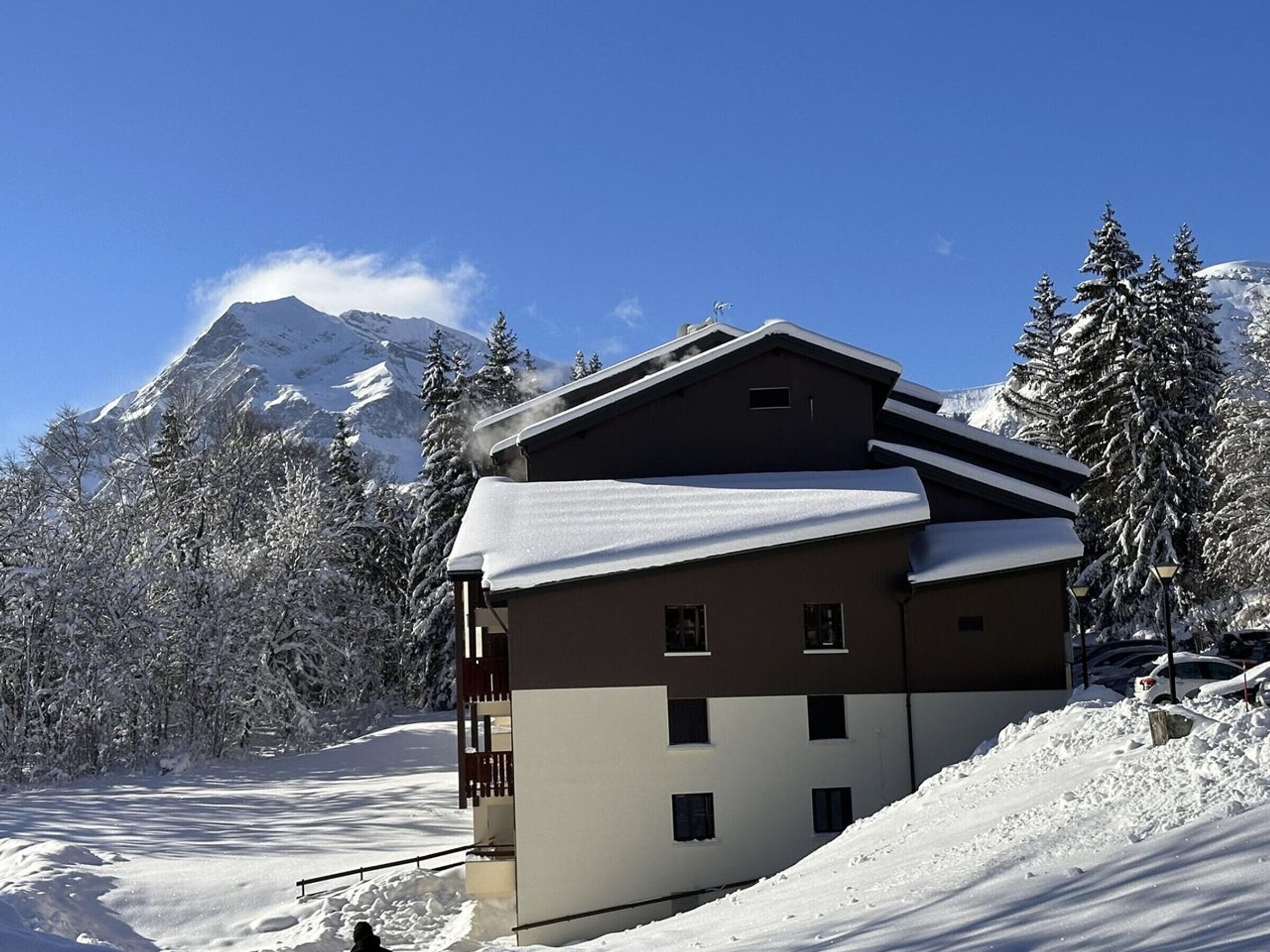 A multi-story building with a sloped roof, surrounded by snow-covered trees and mountains.