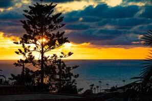Miscellaneous - Ocean View Deck! | Walk to the Beach | King Suite (Encinitas)