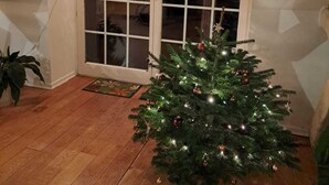 A room with a wooden floor, a Christmas tree with lights and ornaments, and a star decoration on a sliding glass door. - Vacation apartment  (Vettweiß)
