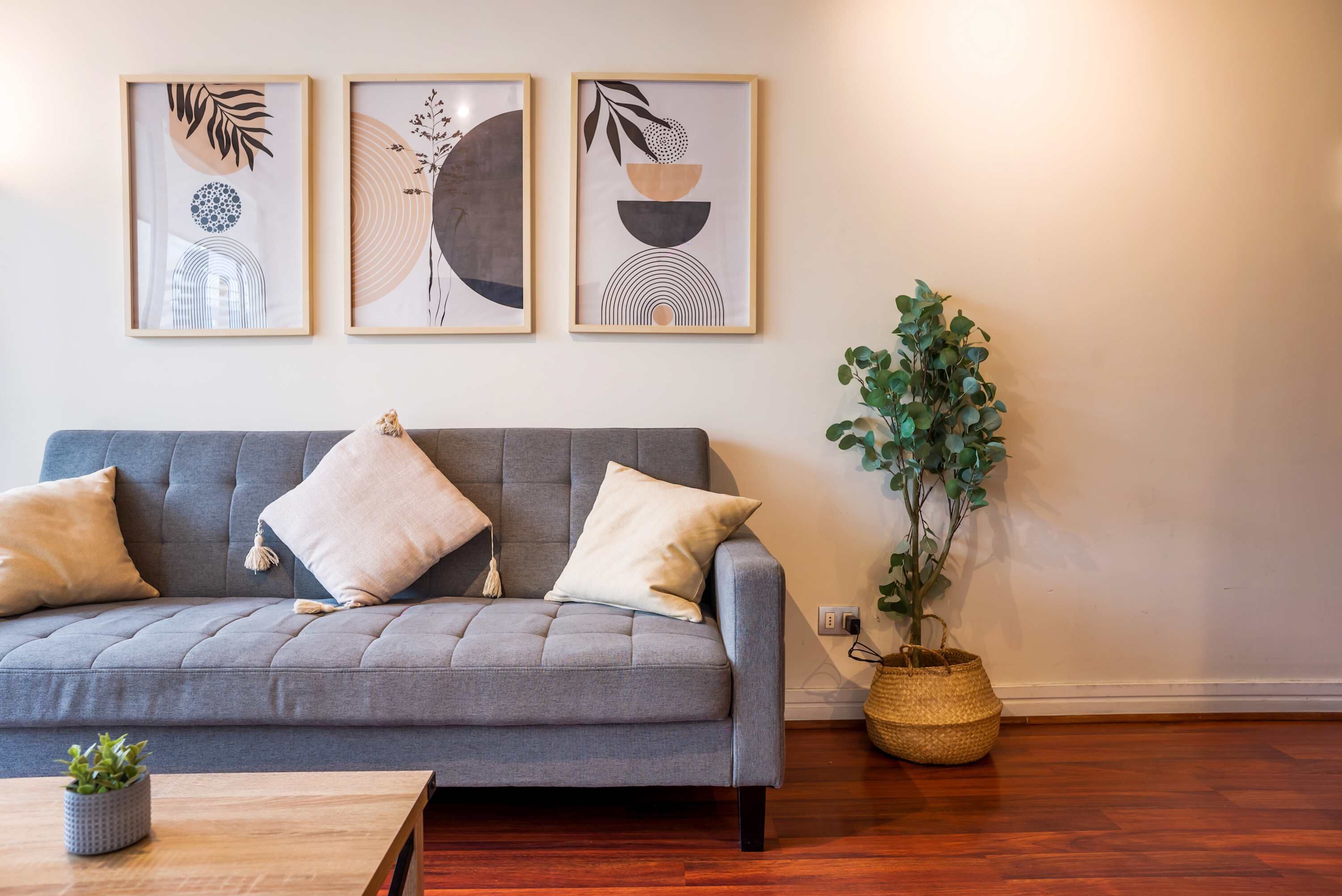 Ein graues Sofa mit drei Kissen, ein kleiner Topfpflanze und drei gerahmte abstrakte Kunstwerke an der Wand.