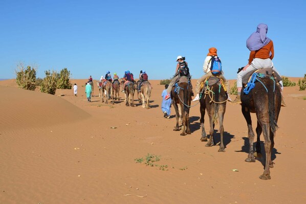 Un grupo de personas montando camellos en un paisaje desértico.