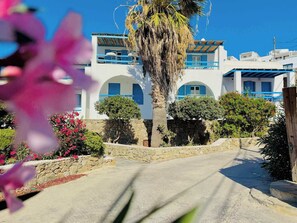 Terrain de l’hébergement 