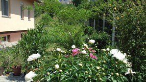 A garden with blooming peonies and potted plants. - Well-kept apartment in Fonyod for 4-5 people within walking distance of the lake - new air conditioning (Fonyód)