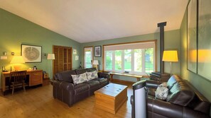 スマートテレビ、暖炉、DVD プレーヤー