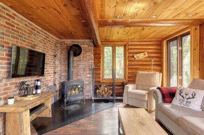 TV, fireplace, stereo - Spa and Great Comfort - Le Bo Bois Rond (Saint-Michel-des-Saints)