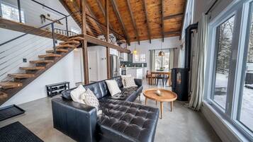 TV, fireplace, books, stereo