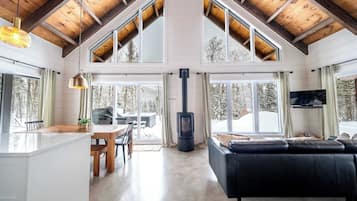 TV, fireplace, books, stereo