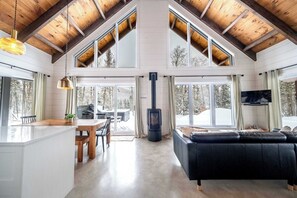 TV, fireplace, books, stereo