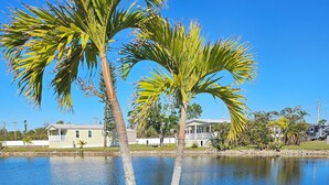A view of a lake with two palm trees, a small table, and two wicker chairs.