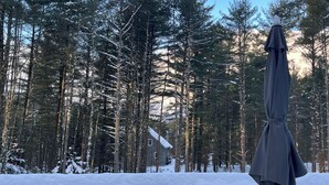 Uma área externa coberta de neve, com um banco e um espaço de estar protegido, rodeada por árvores altas.