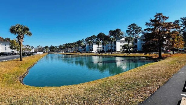 A rectangular pool with a grassy edge, surrounded by a row of white buildings with balconies, under a clear blue sky. - River Oaks, Gorgeous 1BR condo (Myrtle Beach)
