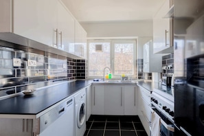 A modern kitchen with a built-in washer, a sink, and a stove.