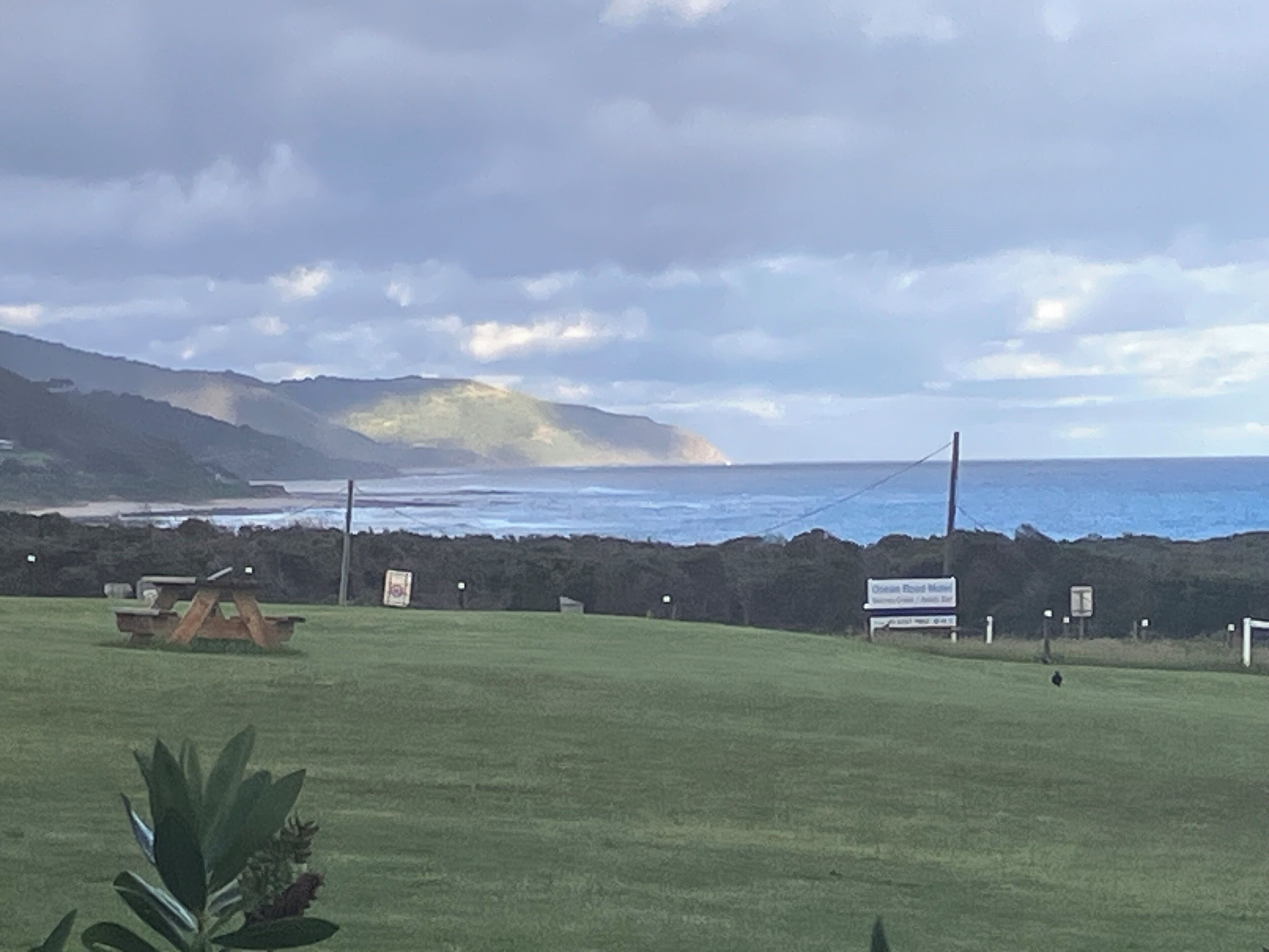 A grassy area with a picnic table and a sign for Ocean Road Motel.