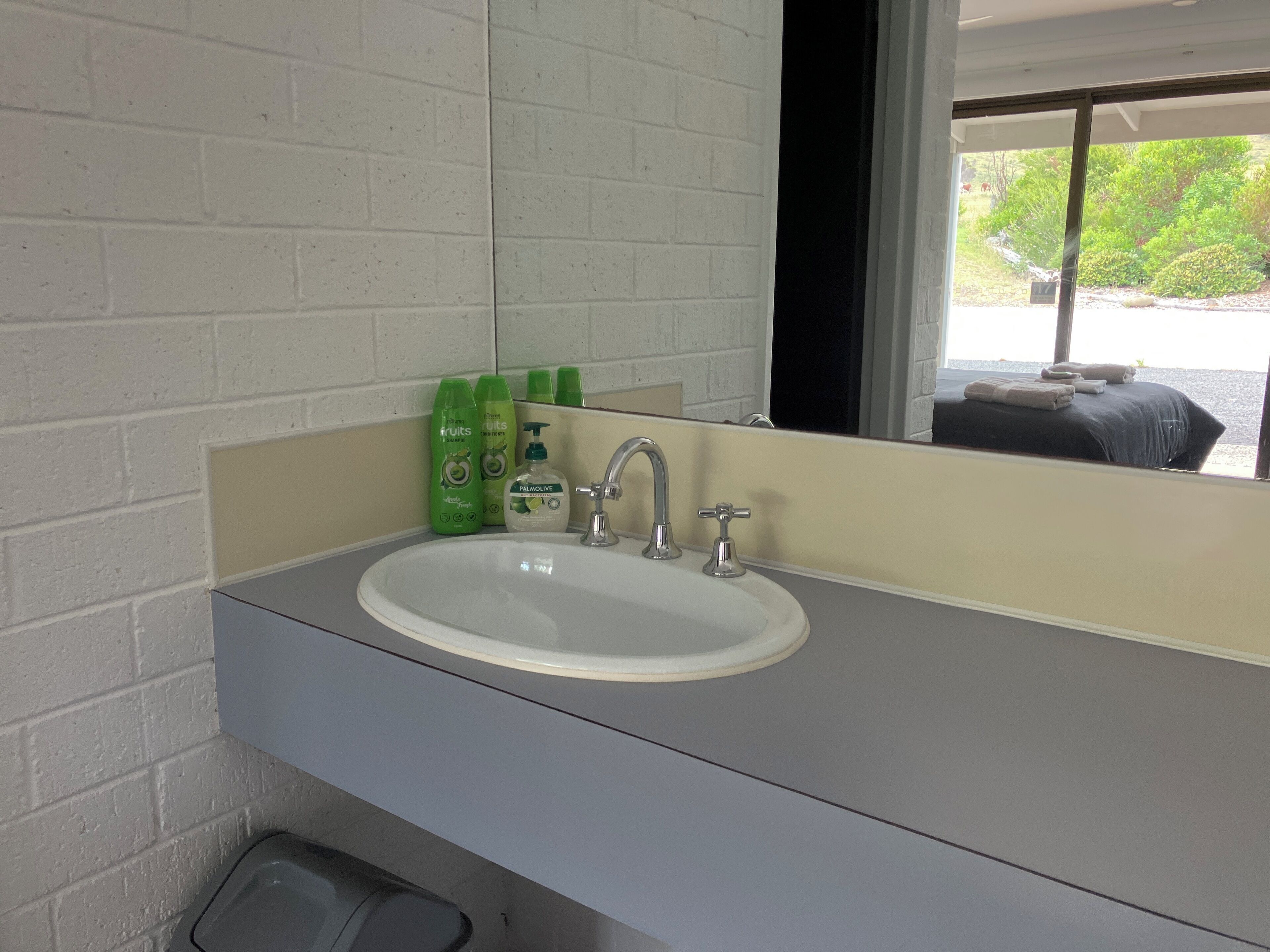 A bathroom with a white sink, green toiletries, and a large mirror reflecting a bed and greenery outside.