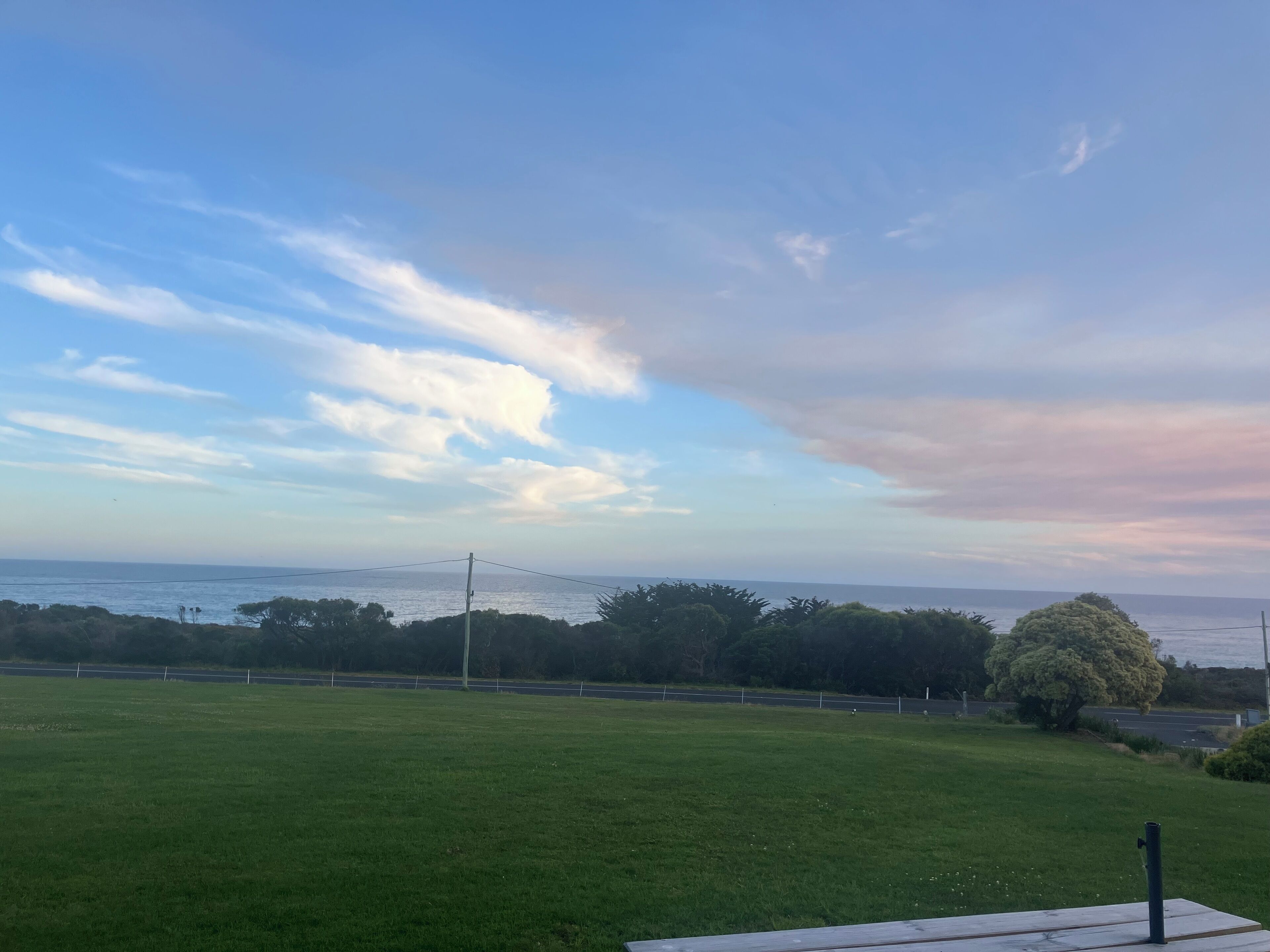A grassy field with a view of the sea and a tree in the foreground.