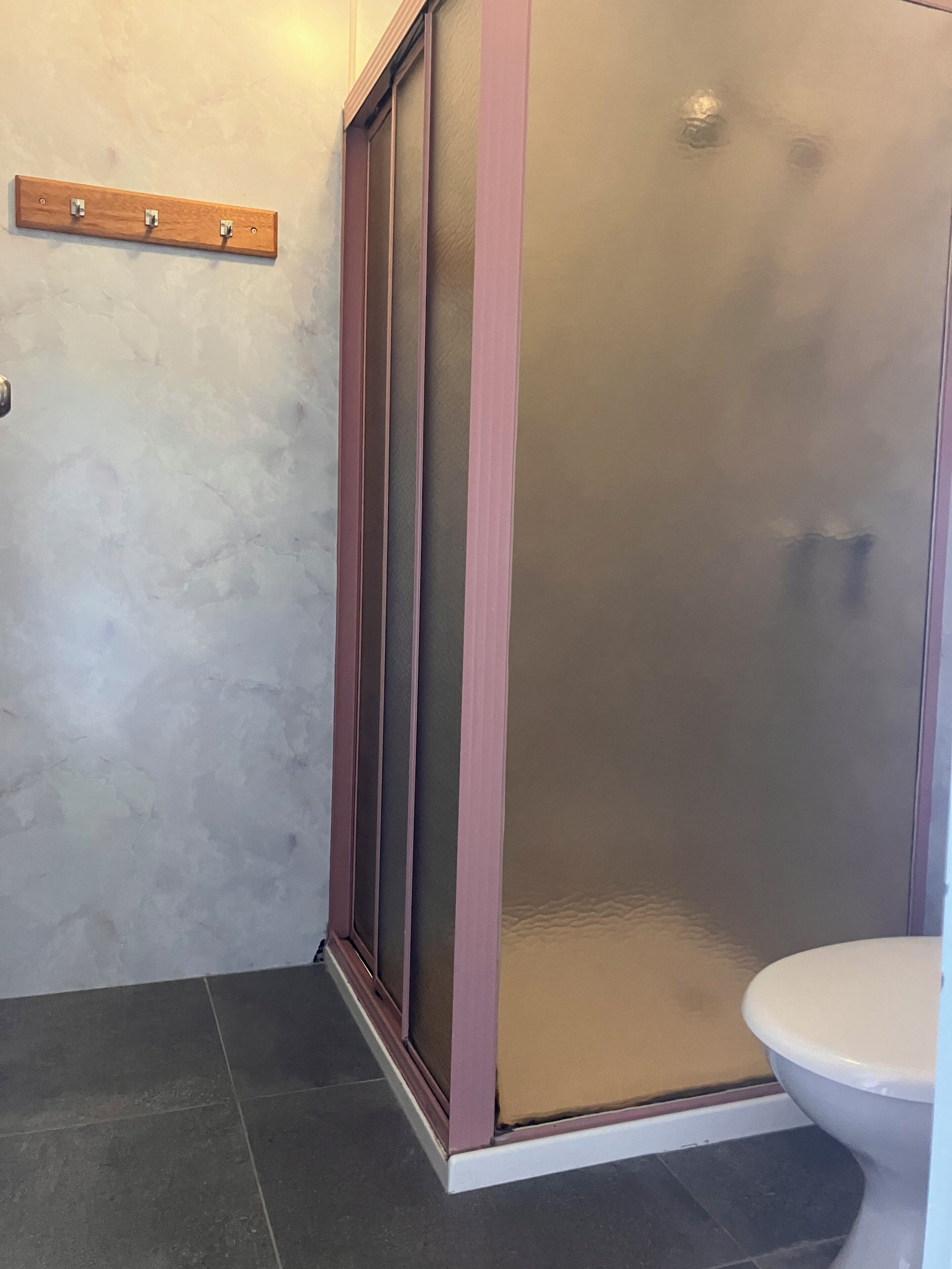 A bathroom with a shower enclosure, a toilet, and a wooden shelf with hooks.
