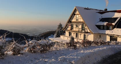 Hotel Grüner Baum