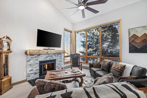 Télévision, cheminée, espaces bureaux