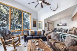 Télévision, cheminée, espaces bureaux