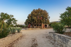 Jardín