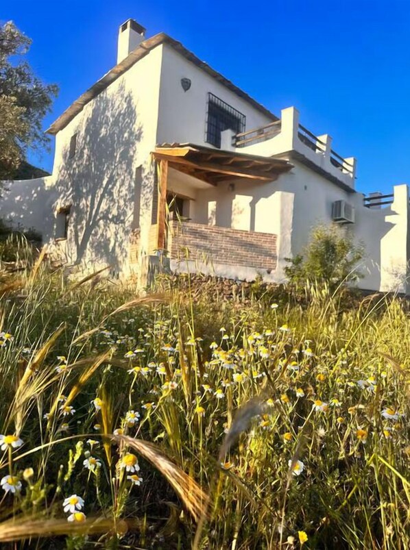 Een modern huis met een witte gevel, een houten terras en een tuin vol wilde bloemen.