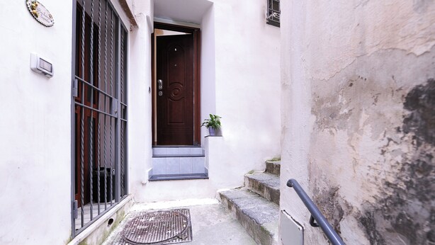 A narrow alleyway leading to a door with a metal gate and a small potted plant on the steps.