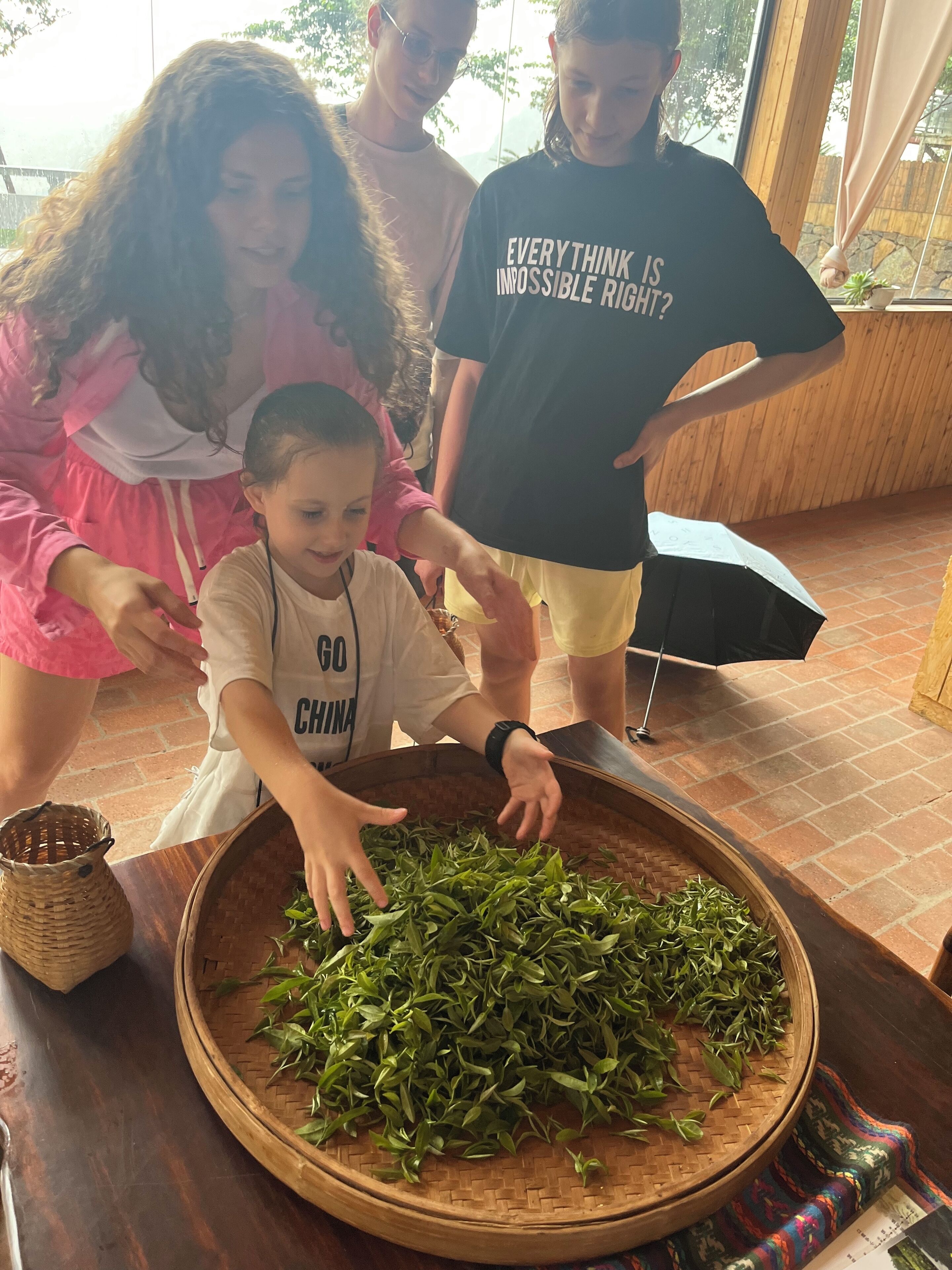Een groep mensen rond een grote geweven schaal met groene bladeren, mogelijk theebladeren, in een kamer met houten wanden en een raam.