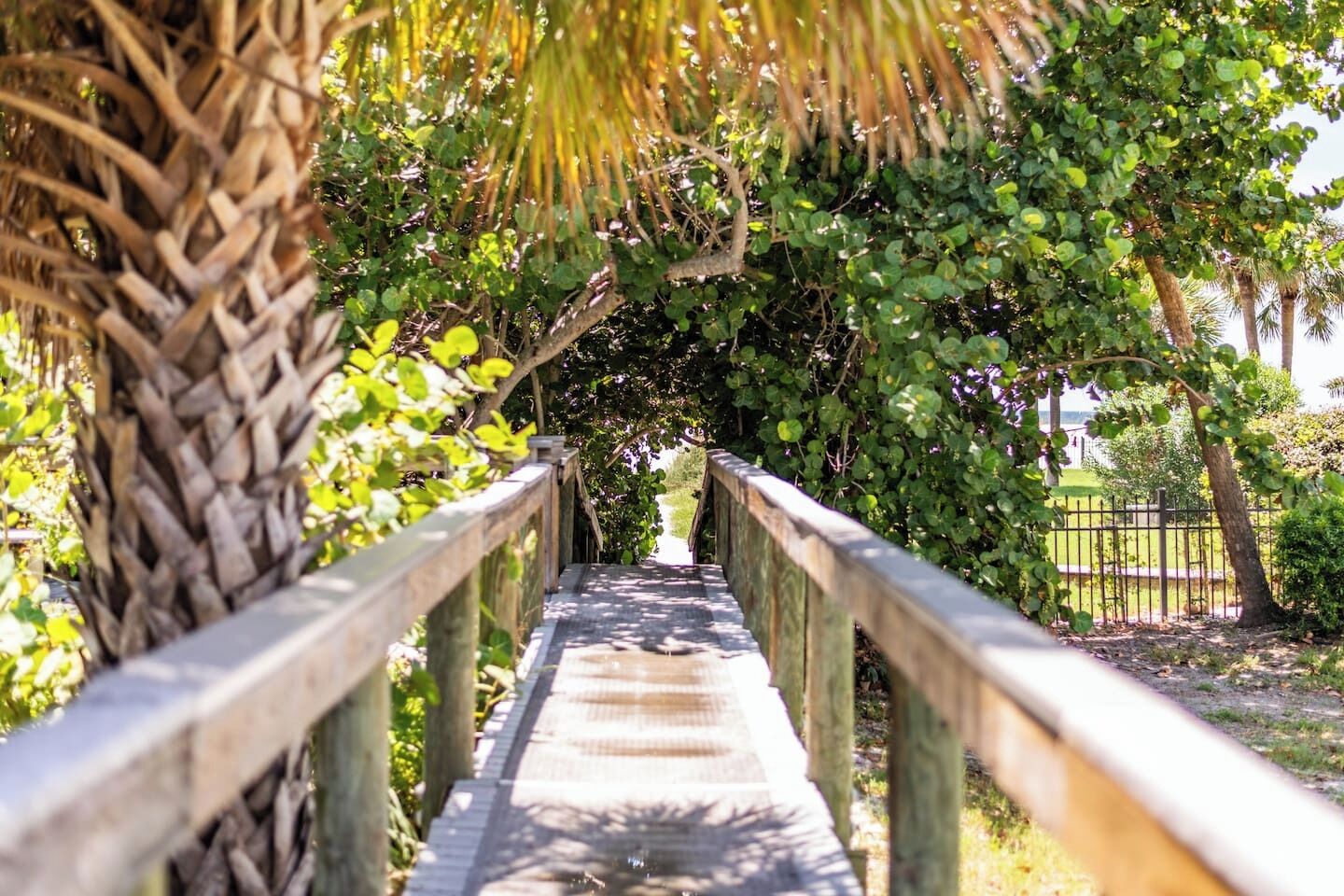 Terrain de l’hébergement 